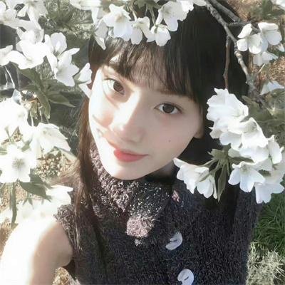 红木林